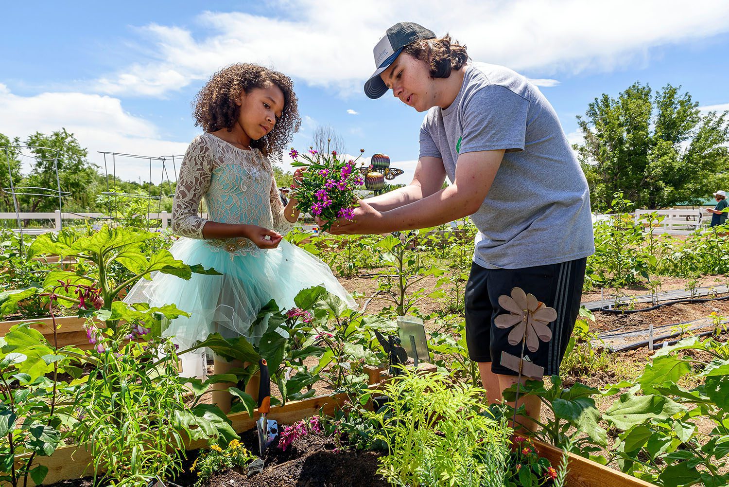 Young boy hands potted flowers to young girl in tutu.